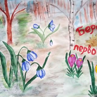 Рисунок "Береги первоцветы"