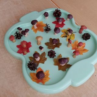 "Раз грибок, два грибок"