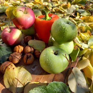 Дары осени.