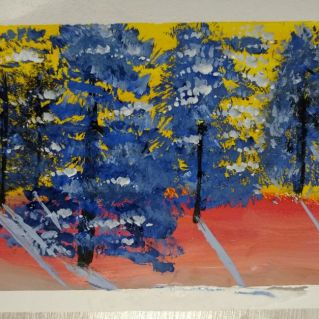 Зимняя палитра леса