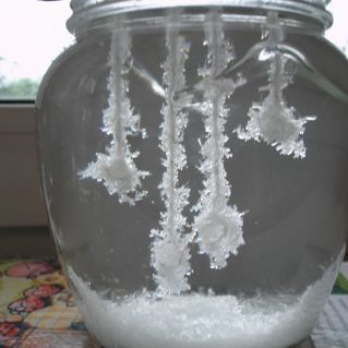 Разнообразие веществ. Выращивание кристалла из соли.