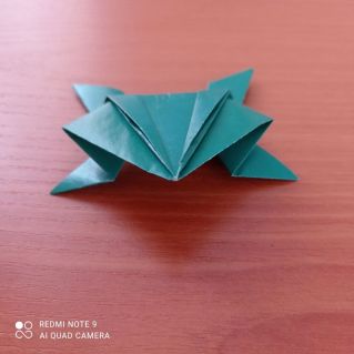 Лягушка-попрыгушка