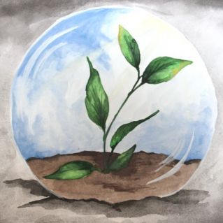 Земля - процветай