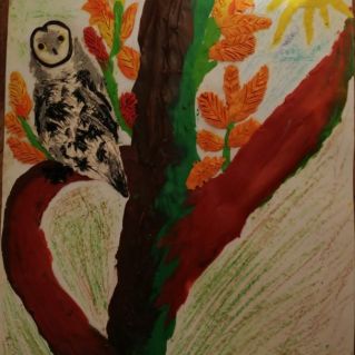 Филин из сказки