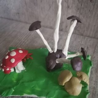 "Грибная поляна"