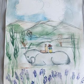 "Любимые природные места"