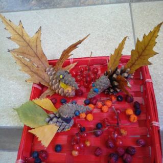 "Птичья столовая"