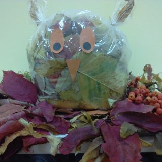 "Тетушка Сова"