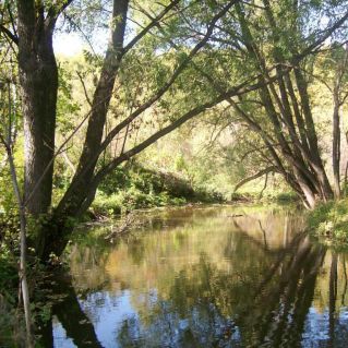 Как прекрасен этот вид!