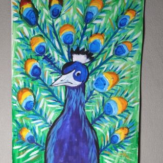 Красочный павлин