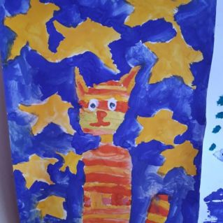 "Звездный кот"