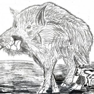 Кабан с кабанёнком