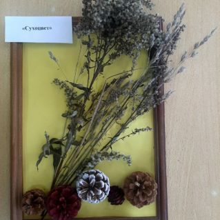 "Сухоцвет"