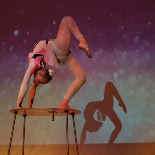 "Пластический этюд на столе"