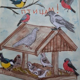 Поможем птицам!