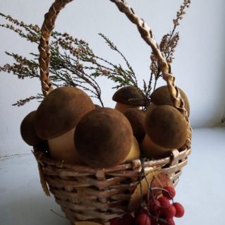 Лесное чудо