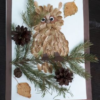 Чудо Совушка