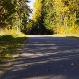 Осенняя дорога