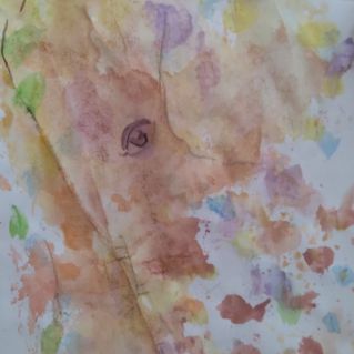 "Мудрый слон"