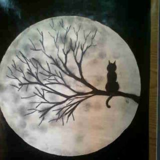 Лунный кот
