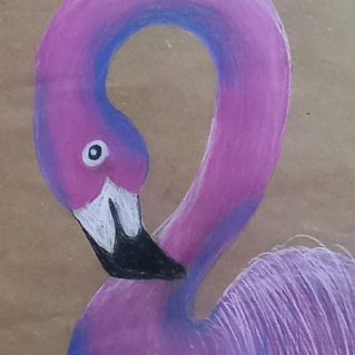 Розовый фламинго