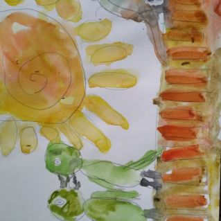 Попугаи-неразлучники