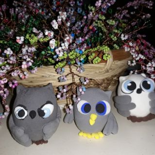 Семейка совушек.