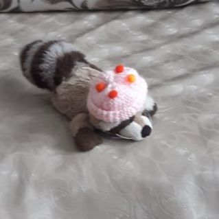 "Шапка для енота"