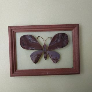 Бабочка "Носатка коричневая"