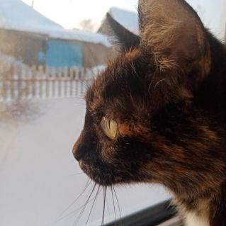 Своенравная и загадочная