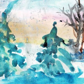 Зимнее очарование