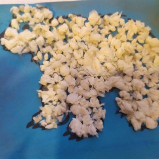 Белый медведь.