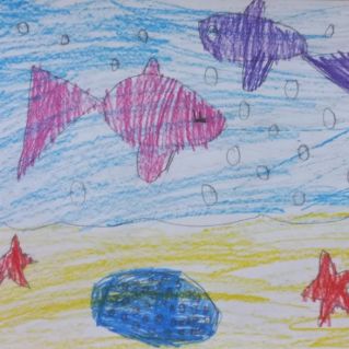 "Подводный мир"