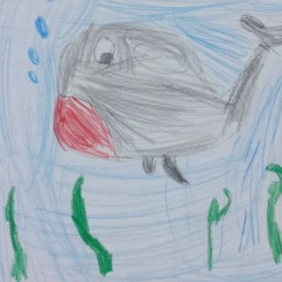 "Путешествие кита"