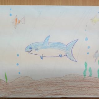 Морские обитатели