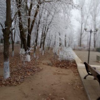 "Сказочный парк"