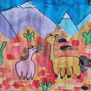 красивые  ламы