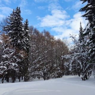 " Снежные фантазии"