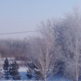 Снежная зима