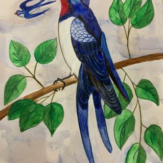 Ласточка из сказки Дюймовочка