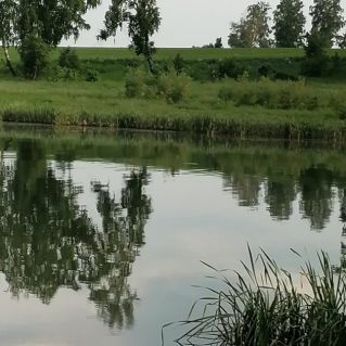 "Красоты Сибири"