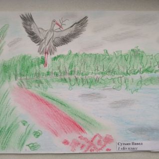 Мой родной край