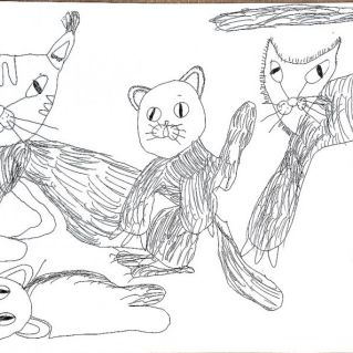 Кошачьи игры