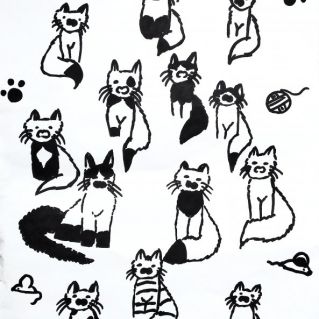 Чёрно-белые коты