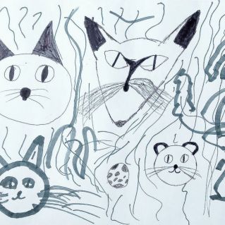 Кошки смотрят на меня