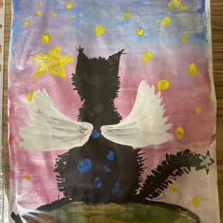 Волшебный кот