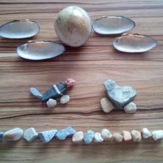 «Мир диких животных!»