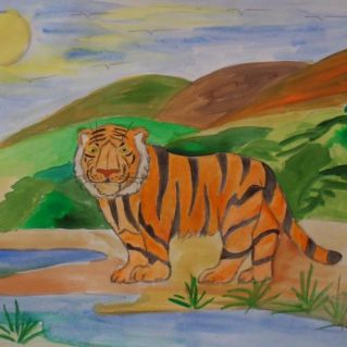 Животный мир нашей Планеты