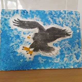 Белоголовый орлан