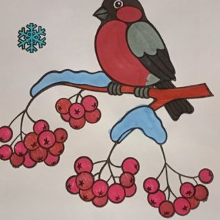 Зимовье птиц